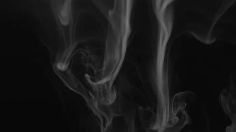 Dry ice smoke on black background Stock Footage 151241540