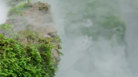 Dry ice smoke decorating with moss. Stock Footage 305042072