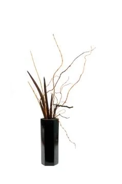 Dry ikebana Stock Photos