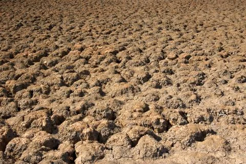 Dry lake bed Stock Photos
