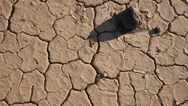 Dry Lake Drought Global Warming Stock Footage