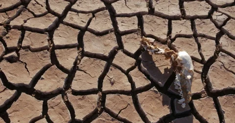 Dry Lake Famine Global Warming Climate Change Panning Shot in 4K Stock Footage