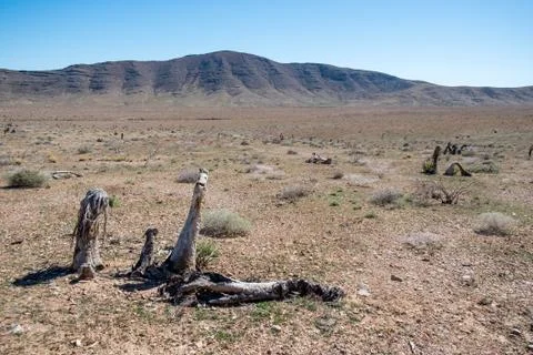 Dry Lake Fire 库存照片