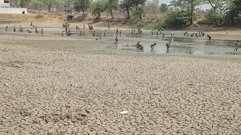 Dry lake in India. Сhildren bathe in the mud. Disaster ecology nature. Drought Stock Footage