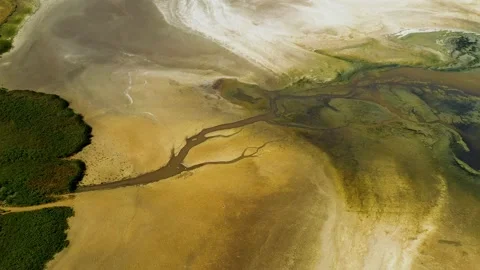 Dry lake or swamp in the process of drought  - aerial drone view Stock Footage 139794391