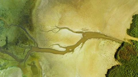 Dry lake or swamp in the process of drought  - aerial drone view Stock Footage 142899223