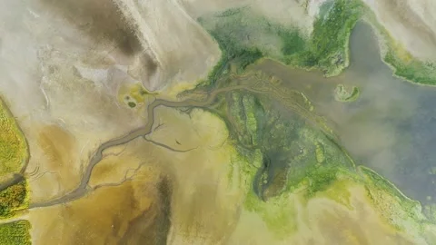 Dry lake or swamp in the process of drought  - aerial drone view Stock Footage 142901363