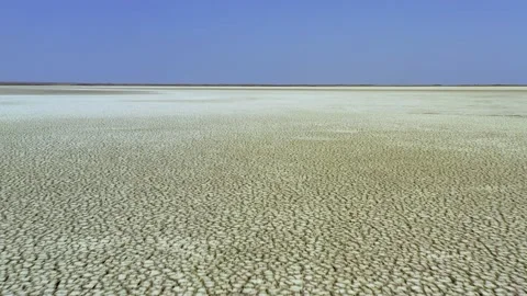 Dry lake or swamp in the process of drought and lack of rain or moisture Stock Footage 143570841