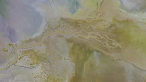 Dry lake or swamp in the process of drought  - aerial drone view Stock Footage 143570973