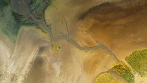 Dry lake or swamp in the process of drought  - aerial drone view Stock Footage 143749495