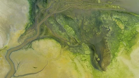 Dry lake or swamp in the process of drought and lack of rain or moisture Stock Footage 143749651