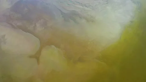 Dry lake or swamp in the process of drought  - aerial drone view Stock Footage 148533243