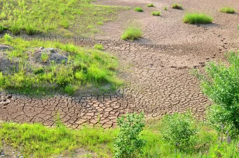 Dry lake or swamp in the process of drought and lack of rain or moisture Foto stock