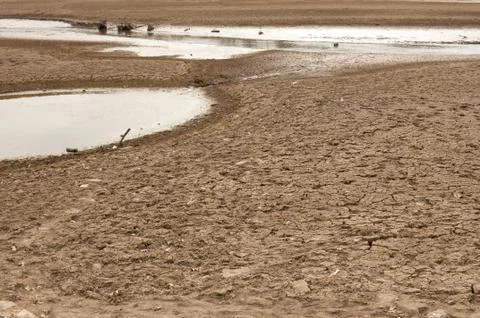 Dry lake Stock Photos
