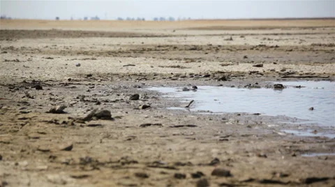 Dry Lakebed 03 HD Stock-Footage 38075901