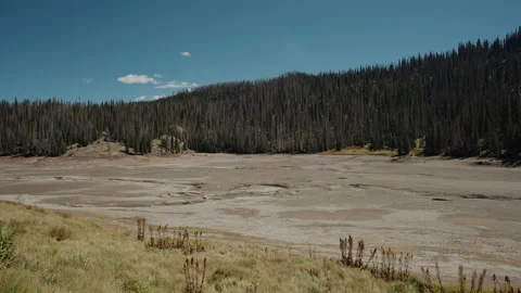 Dry lakebed below a pine covered hillside in the mountains Stock-Footage 348021501