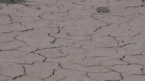 Dry Lakebed Morocco Stock Footage 56686930