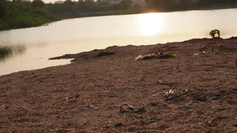 Dry Lakeshore Ground at Sunset Stock Footage 330062640