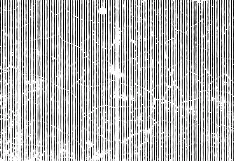 Dry land broken texture, grunge of a cracked black, cracked white paint Stock Illustration