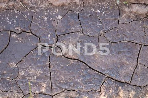 The dry land is covered with small cracks of drought. the concept of global w Stock Photos