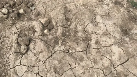 Dry land, cracks, drought Stock Footage 132555324
