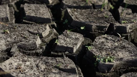 Dry land with cracks due to global warming Video stock 259502985