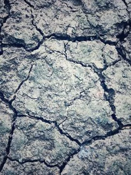Dry land with cracks Stock Photos