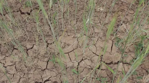 Dry Land Stock Footage 1050238