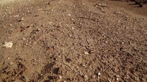 Dry land Stockbeeldmateriaal 44787988