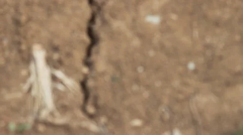 Dry Land Video stock 53190088