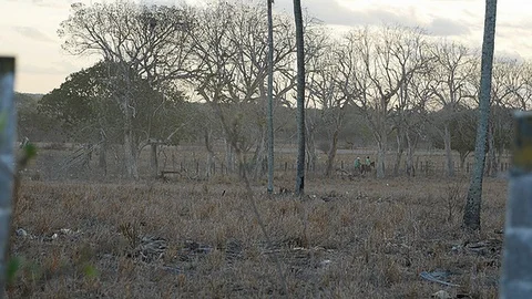 Dry Land Stock Footage 93856850