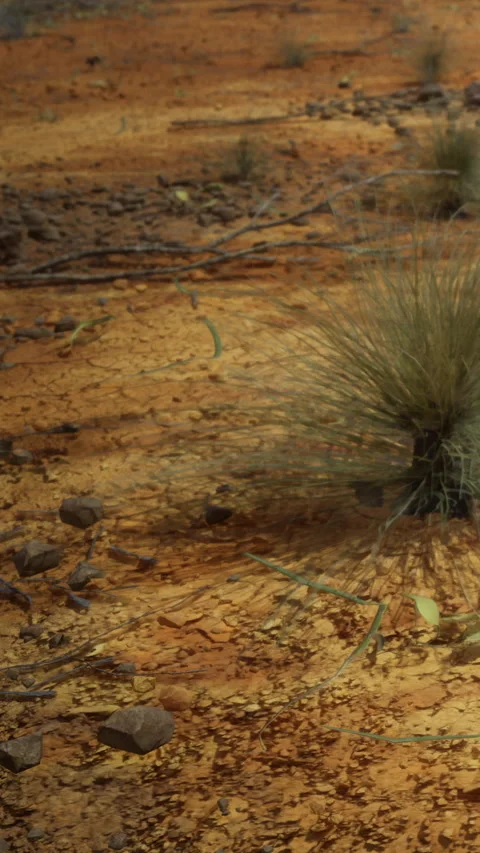 Dry land with grass and rocks in a remote area during a sunny day Stock Footage 334166865