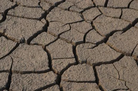 Dry land Stock Photos