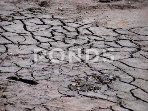 Dry land Stock Photos