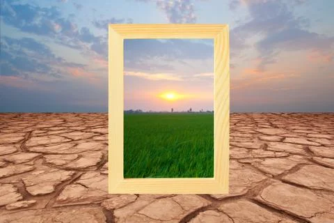 Dry land Stock Photos