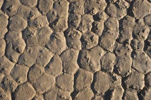 Dry land Stock Photos
