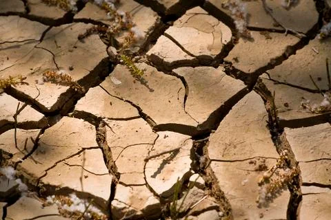 Dry land Stock Photos