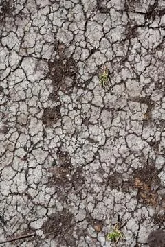 Dry land Stock Photos