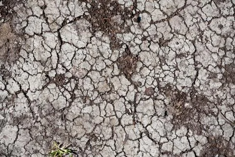 Dry land Stock Photos