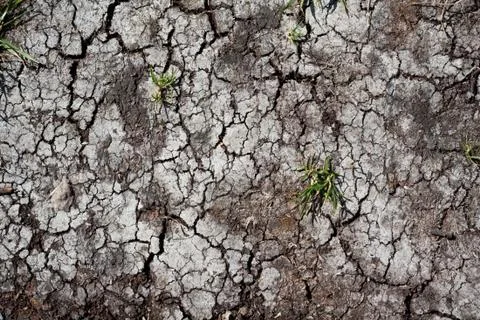 Dry land Stock Photos