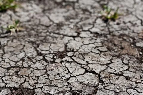 Dry land Stock Photos