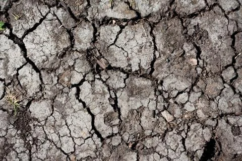 Dry land Stock Photos