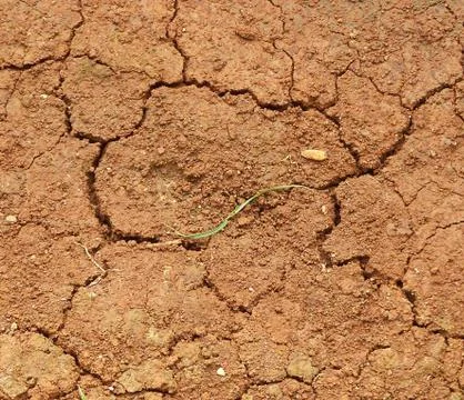 Dry Land Stock Photos