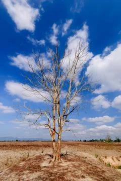 Dry land Stock Photos