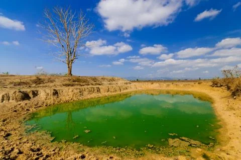 Dry land Stock Photos