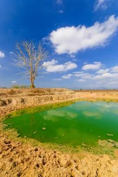 Dry land Stock Photos