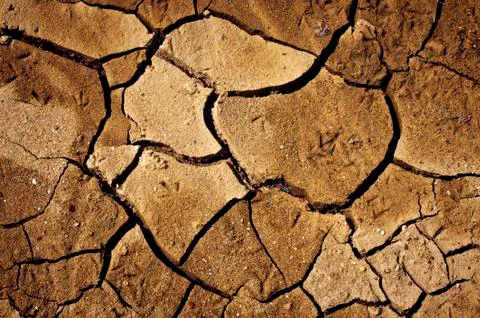 Dry land Stock Photos