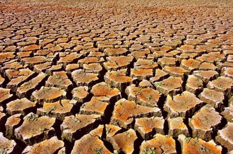Dry land Stock Photos