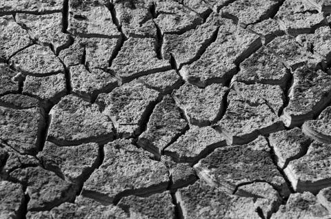 Dry Land Stock Photos
