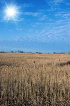 Dry Land Stock Photos